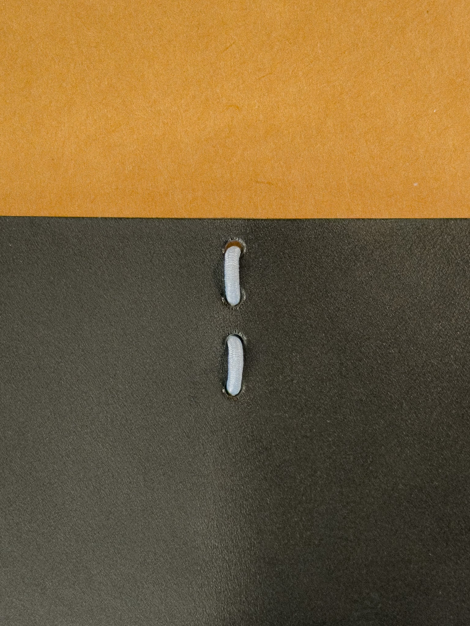 outside closeup view of an open leather journal laying flat